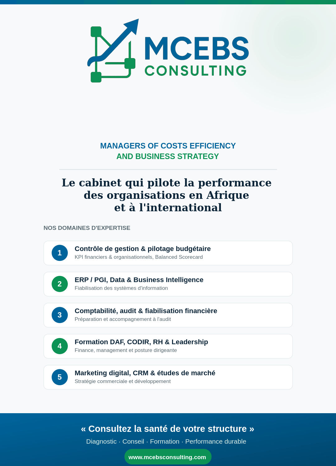 MCEBS Consulting